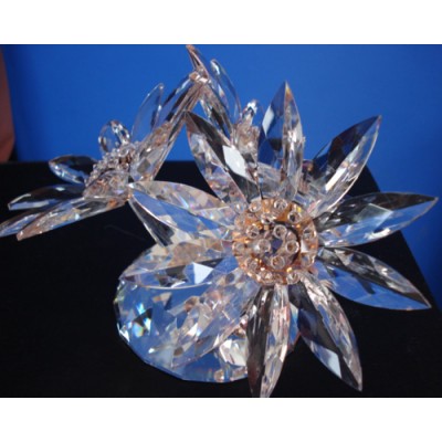 CRYSTAL CRAFTS-IGT-CR0002